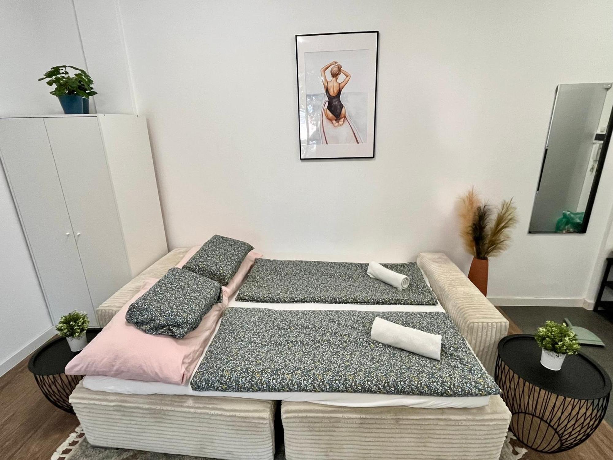 Millenium Spa-Heroes Apartment Budapest Ngoại thất bức ảnh
